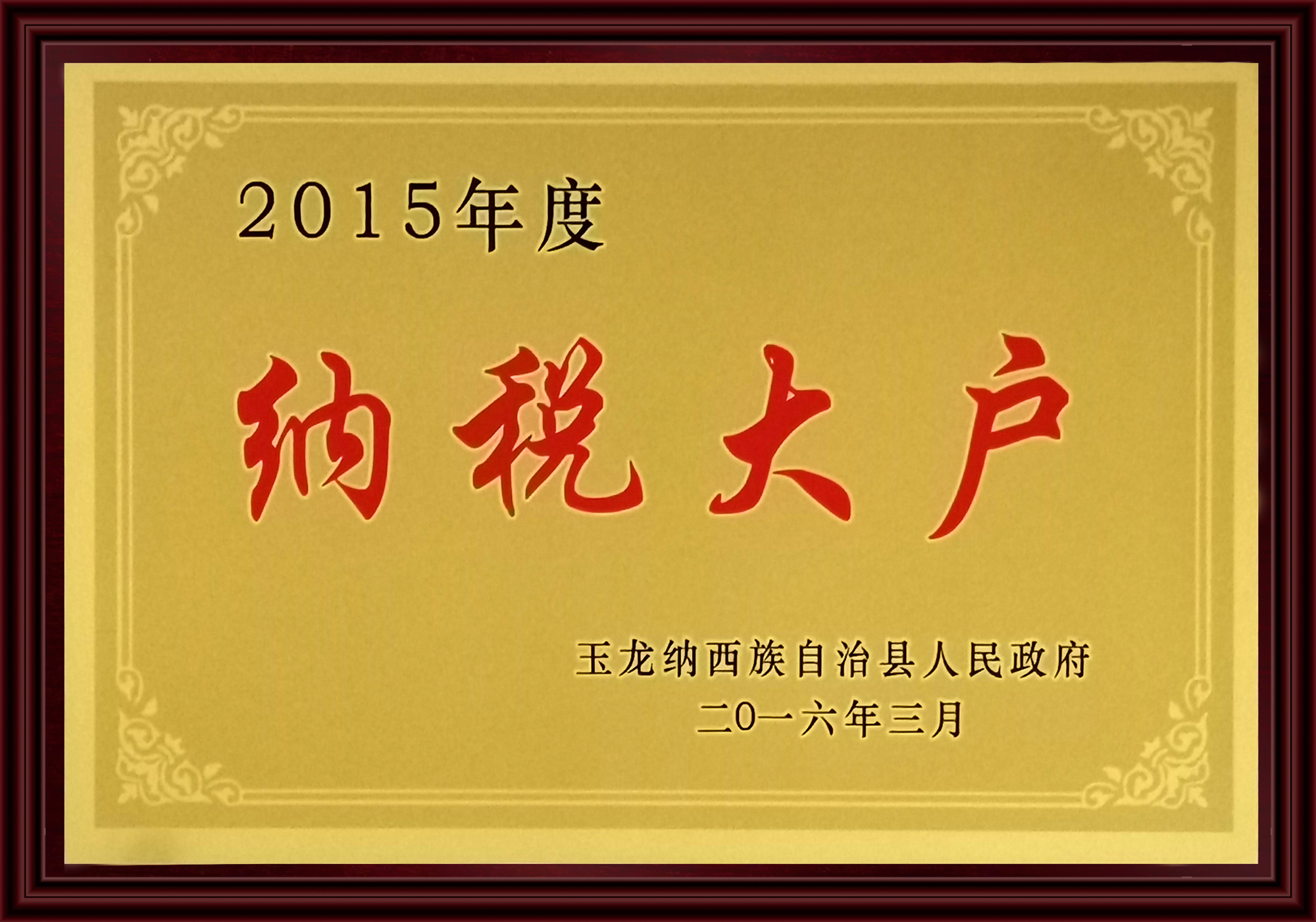 2015纳税大户