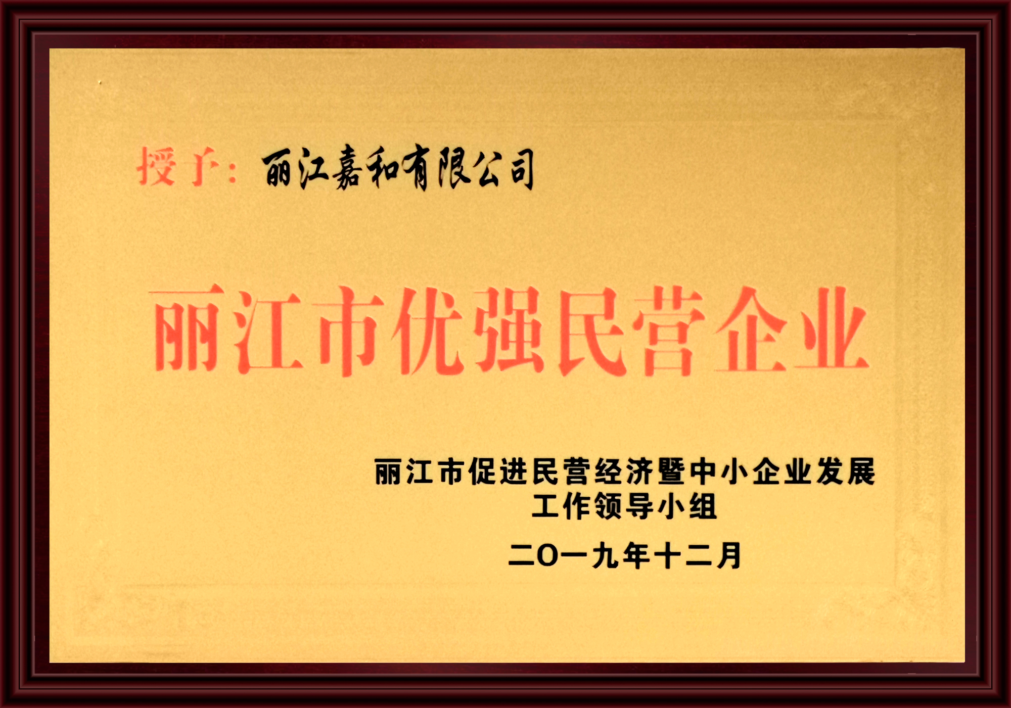 19年丽江市优强民营企业